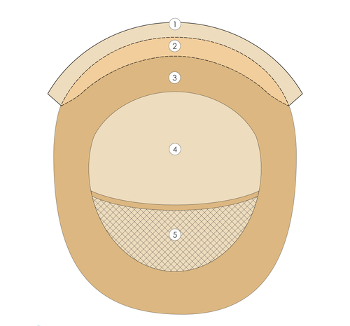 Esme women's hair replacement system